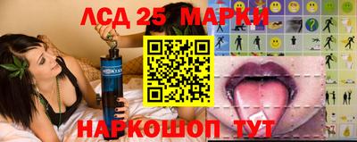 крисы Новозыбков