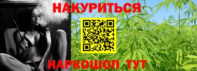 крисы Новозыбков