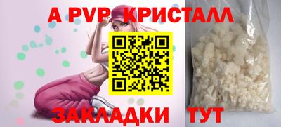 крисы Новозыбков