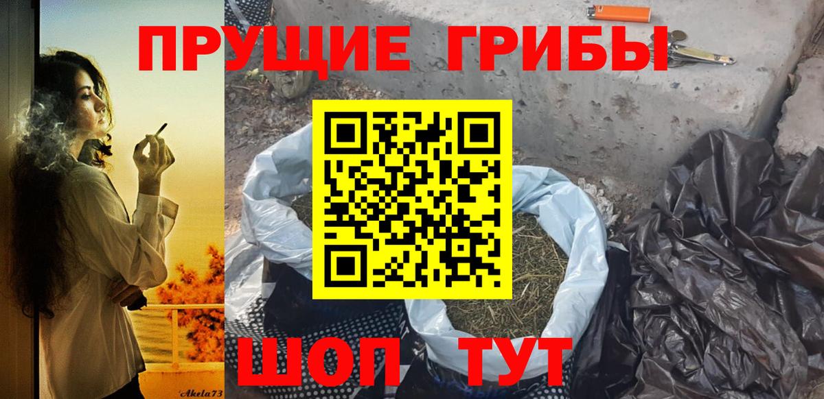 Галлюциногенные грибы прущие грибы Серов