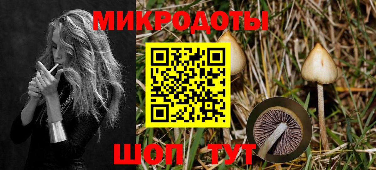 Серов  Галлюциногенные грибы Cubensis  Вход с VPN  Псилоцибиновые грибы прущие грибы 